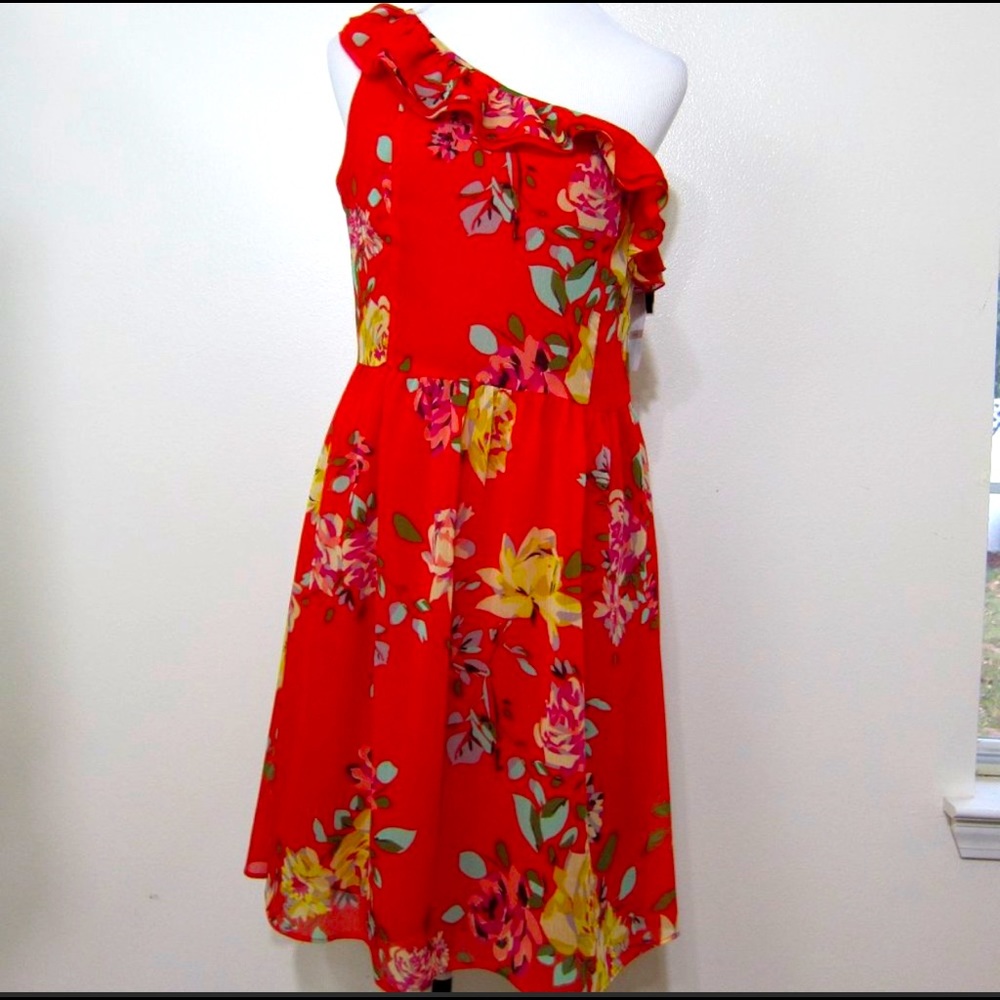 GORGEOUS One shoulder chiffon ruffle dress